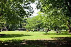 公園　砧五丁目小緑地（公園）まで864m