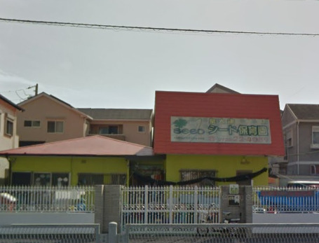 幼稚園・保育園　泉大津シード保育園（幼稚園・保育園）まで1489m