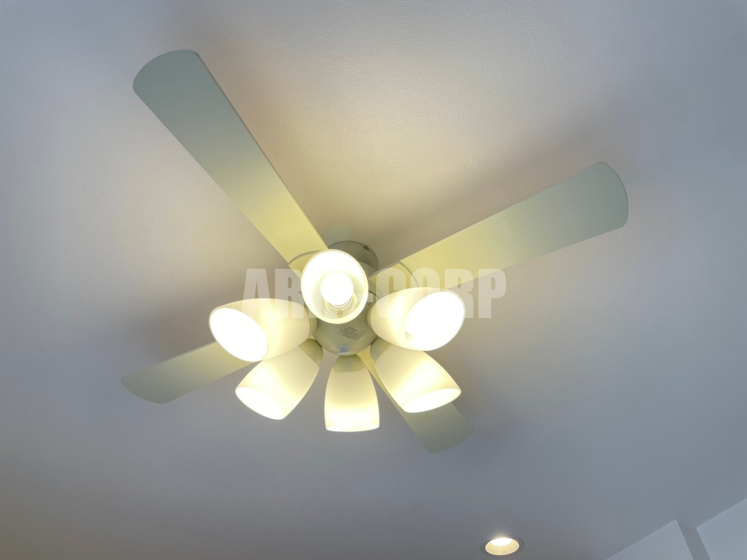 その他　シーリングファンを採用しています！