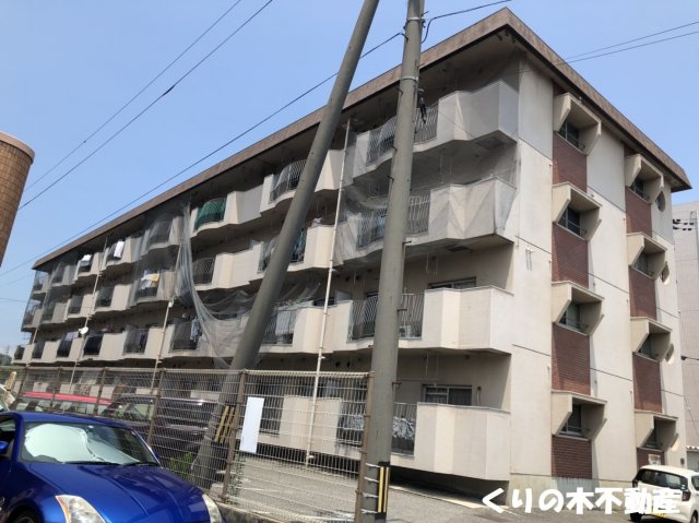 建物外観　外観です