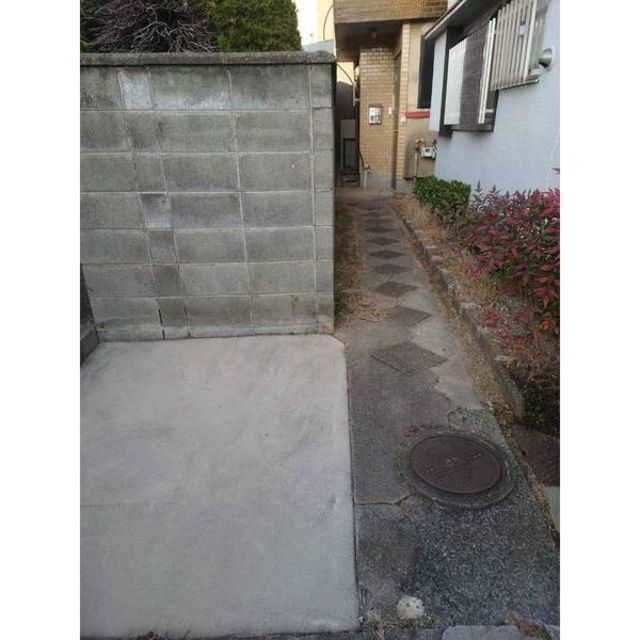 庭