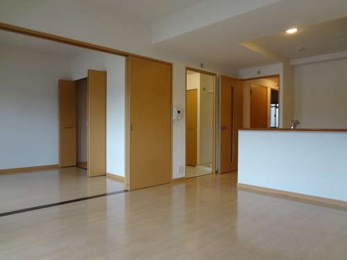 居室・リビング　同系統の別系統のお部屋になります。