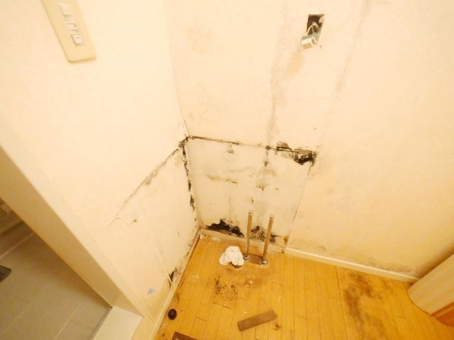洗面設備　★洗面所です★※一生懸命クリーニング中です