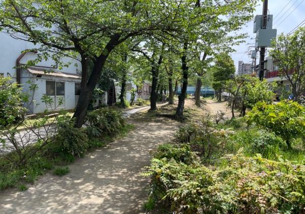公園　旧呑川緑地（公園）まで846m