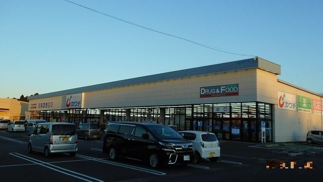 ドラックストア　カワチ薬品（ドラッグストア）まで1700m