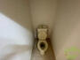 トイレ　トイレが綺麗だと、毎日気持ちよく過ごせそうですね。