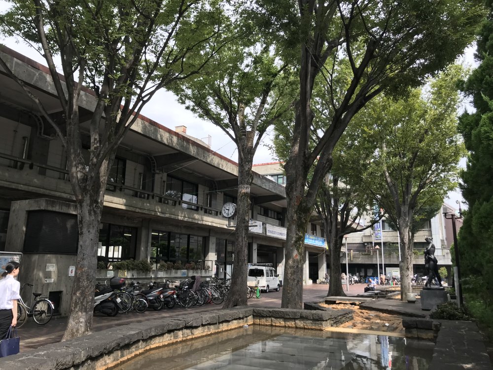役所　世田谷区役所(本庁)（役所）まで278m