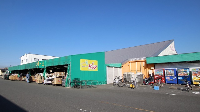 スーパー　スーパーガッツ姉崎店（スーパー）まで1053m