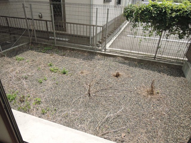 庭
