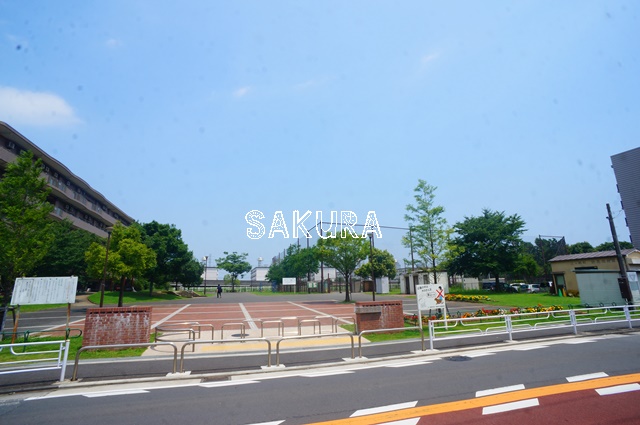 公園　新鶴見公園（公園）まで308m