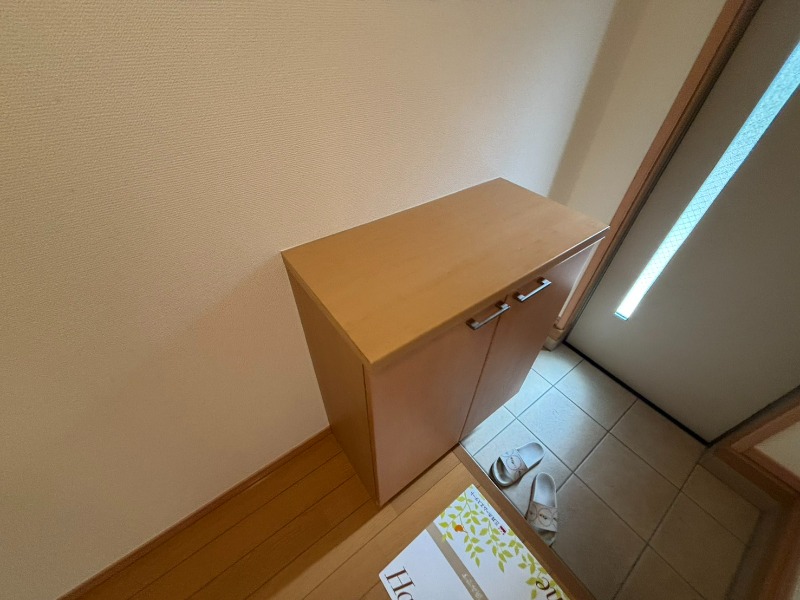 スカイレジデンスAの玄関写真