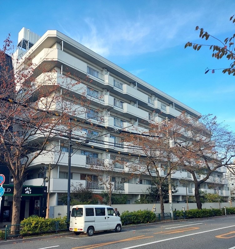 パシフィックニュー中野
