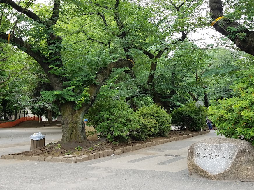 パシフィックニュー中野の周辺写真