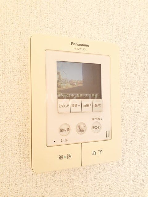 クリスマスローズDのその他写真