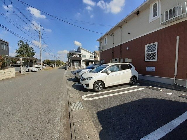 クリスマスローズDのその他写真