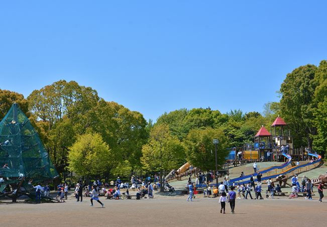 公園　平塚市総合公園（公園）まで1542m