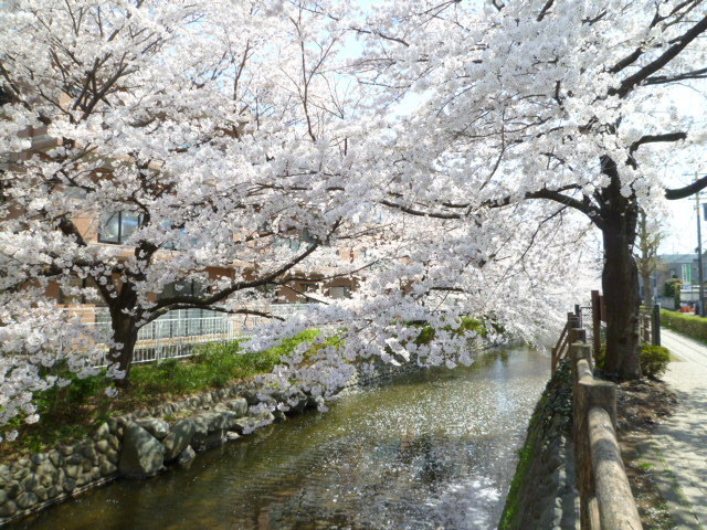 【川崎市多摩区生田のアパートのその他】