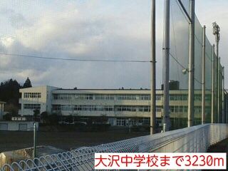 ドラックストア　ツルハドラッグ日光大沢店（ドラッグストア）まで2500m