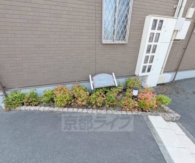 庭