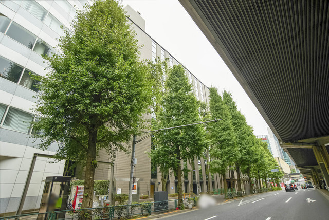 URコラム南青山