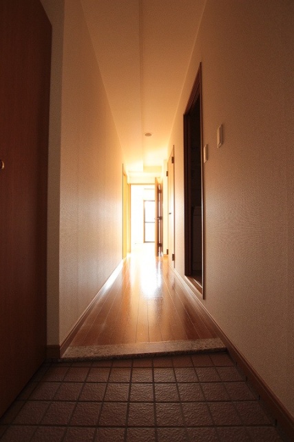 玄関　写真は別号室のものです。