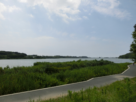 公園　佐鳴湖公園（公園）まで496m