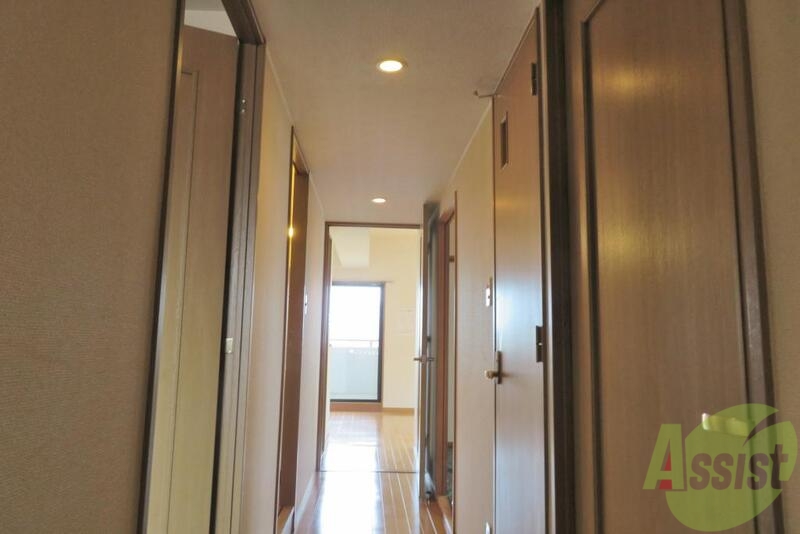 玄関　玄関から見たお部屋です。広さがよく分かります。