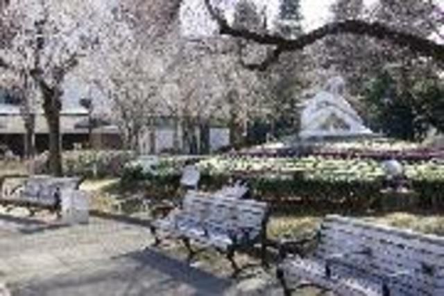 公園　荒川公園（公園）まで903m