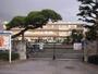 小学校　千葉市立稲毛小学校（小学校）まで275m