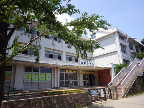 小学校　浦賀小学校（小学校）まで372m