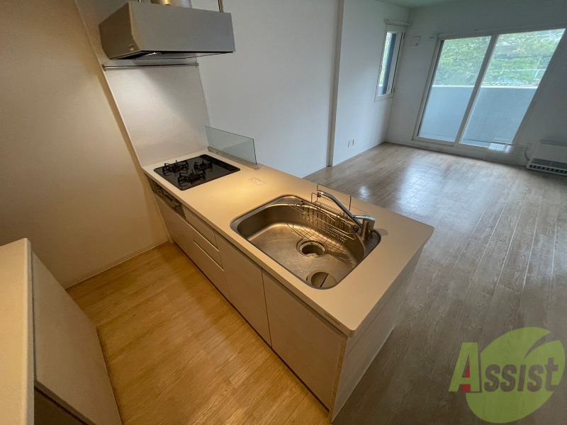 キッチン　キッチンはシックなデザインでした。洗い場も大きい。