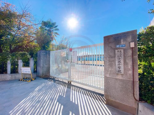 小学校　東大阪市立小阪小学校（小学校）まで341m