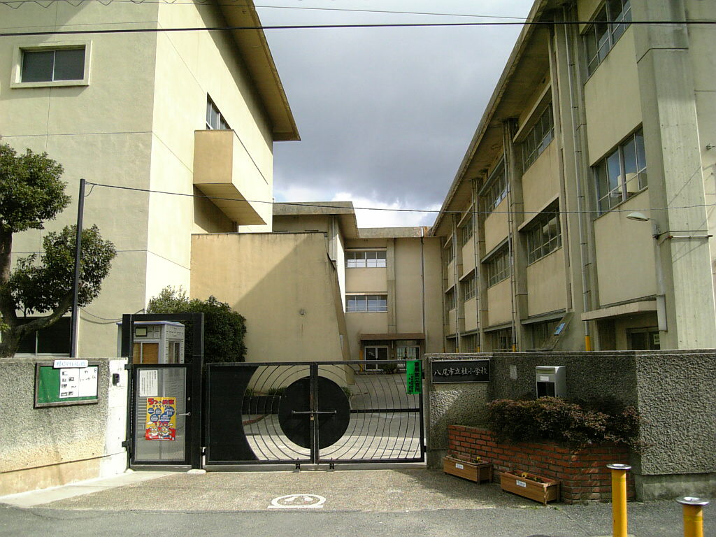 小学校　八尾市立桂小学校（小学校）まで609m