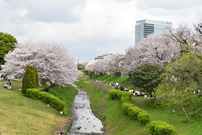 公園　相模三川公園（公園）まで576m