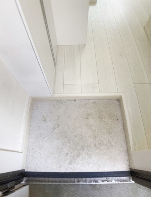 玄関　同仕様タイプ