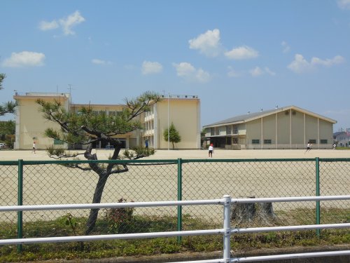 小学校　耳成南小学校（小学校）まで384m