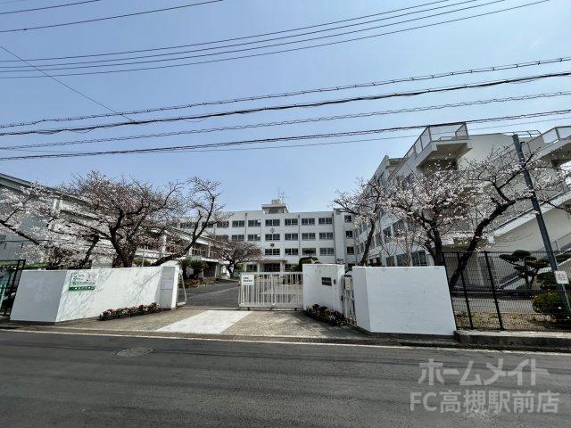 中学校　高槻市立柳川中学校（中学校）まで302m
