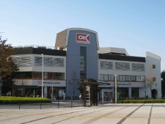 スーパー　オーケーストア（スーパー）まで813m