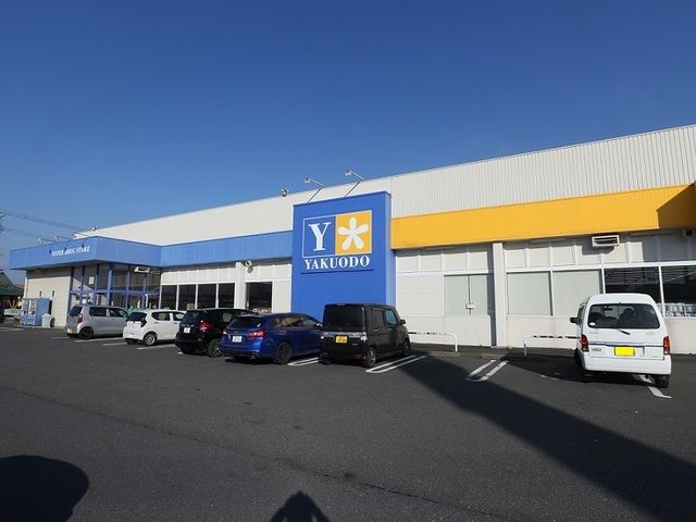 ドラックストア　薬王堂 中新田店（ドラッグストア）まで800m