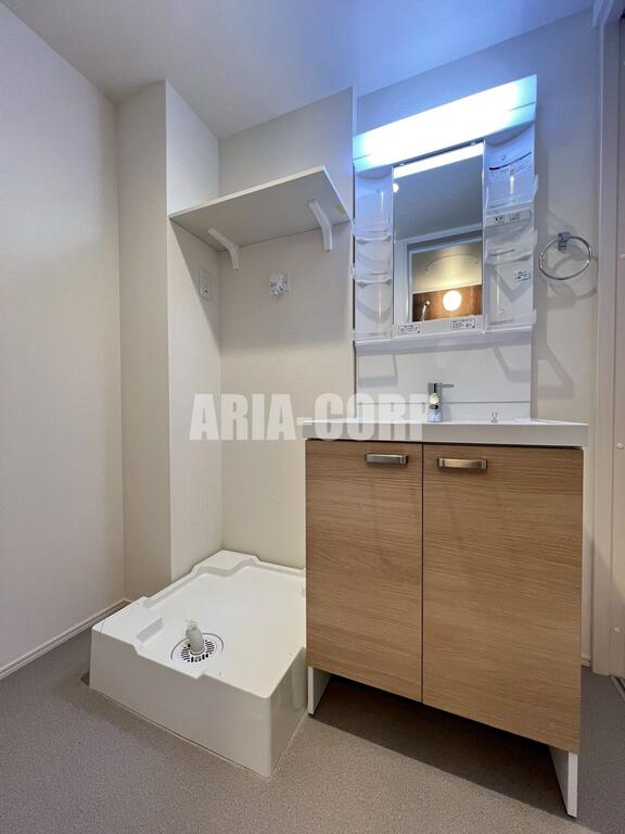 洗面設備　独立洗面台、シャワーヘッドタイプで洗髪や手入れに◎です