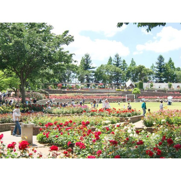 公園　下の池公園（公園）まで969m