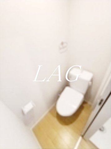 トイレ　トイレです。（同仕様です。）