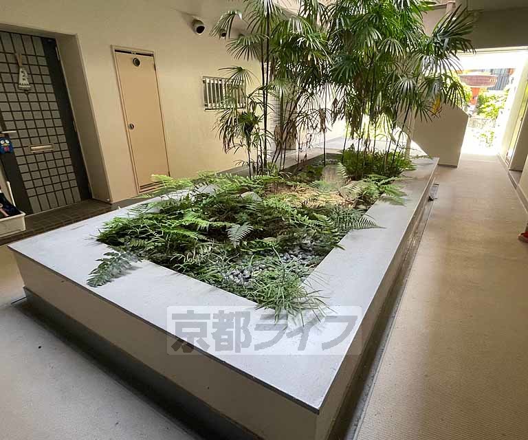 庭