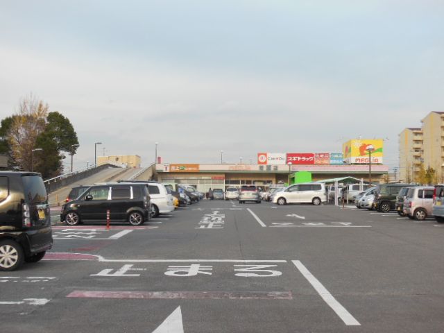 ドラックストア　スギ薬局 若園店（ドラッグストア）まで576m