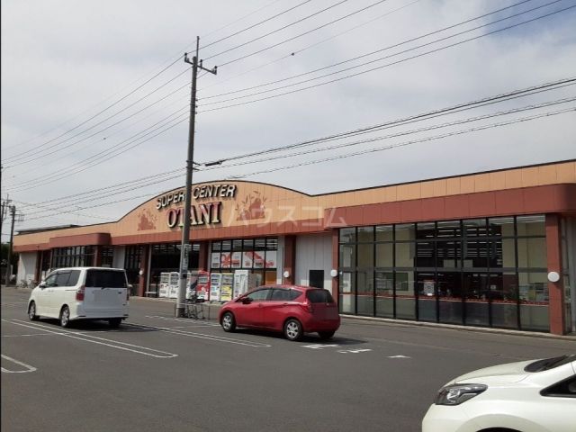 スーパー　フードマーケットオータニ　自治医大店（スーパー）まで1110m