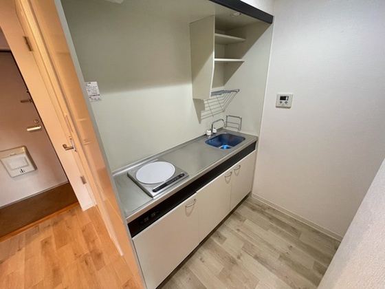 キッチン　※別号室の写真です。