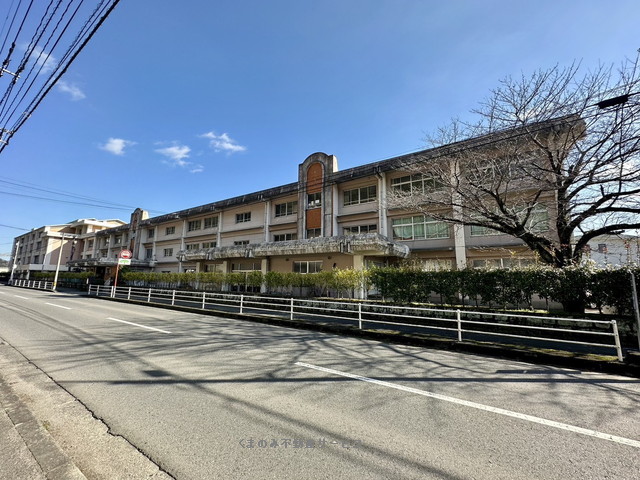 小学校　日田市立光岡小学校（小学校）まで1522m