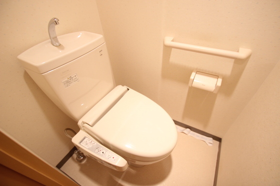 トイレ　写真は別号室のものです