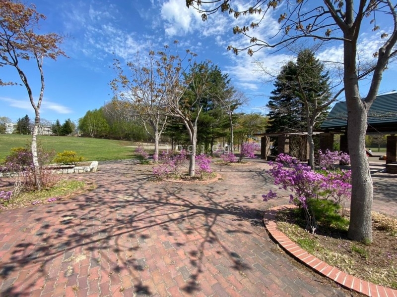 公園　常盤公園（公園）まで571m