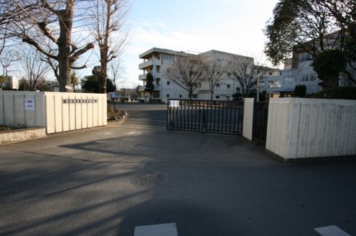 中学校　玉井中学校（中学校）まで711m